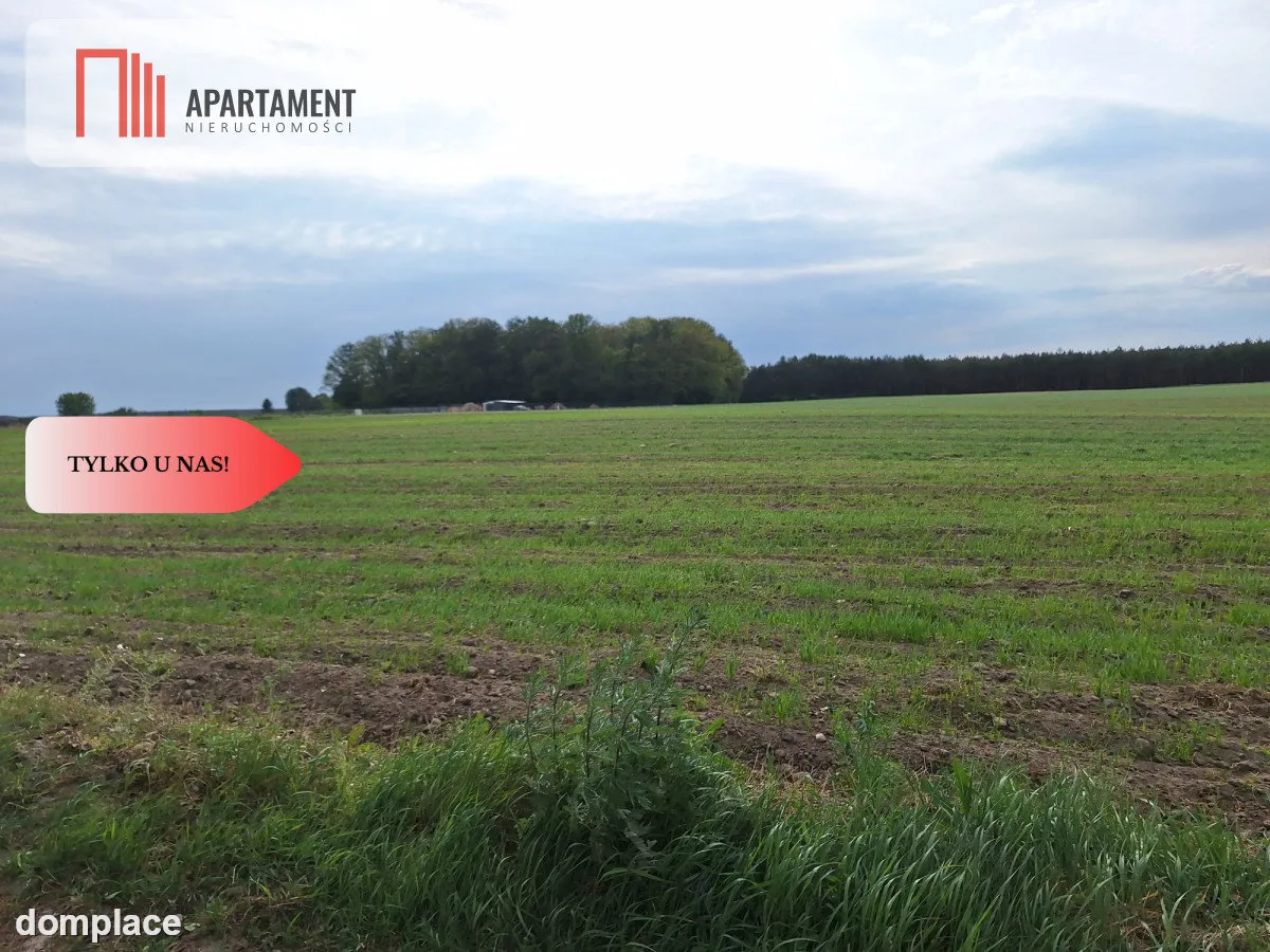 Działka pod inwestycję /Blisko drogi 3 — zdjęcie 2