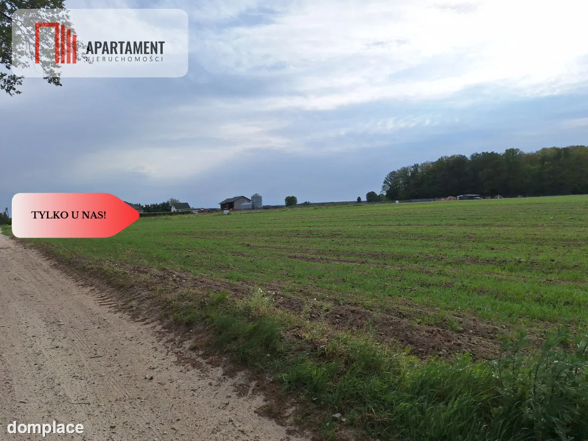 Działka pod inwestycję /Blisko drogi 3