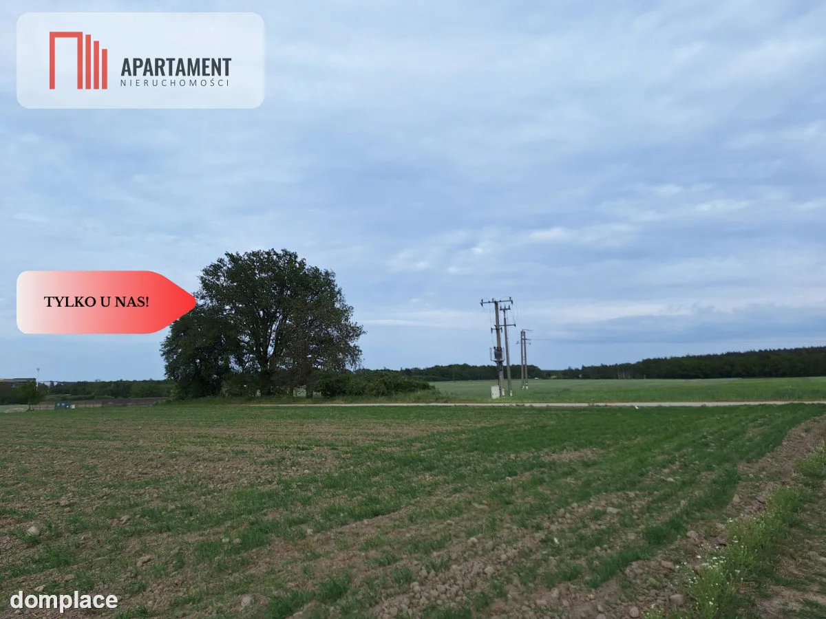 Działka pod inwestycję /Blisko drogi 3 — zdjęcie 5