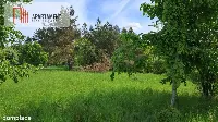 Wymarzona działka w zielonej okolicy - Czarnków — zdjęcie 3