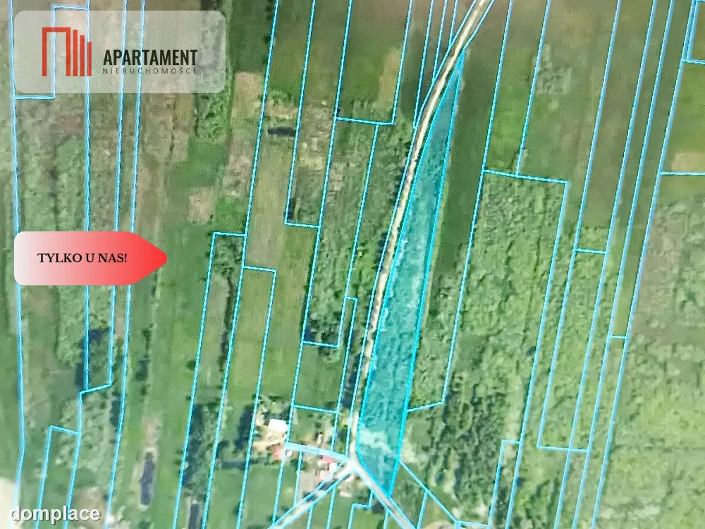 DZIAŁKA ROLNA 1,93ha LUDWIKOWO CISZA SPOKÓJ — zdjęcie 3