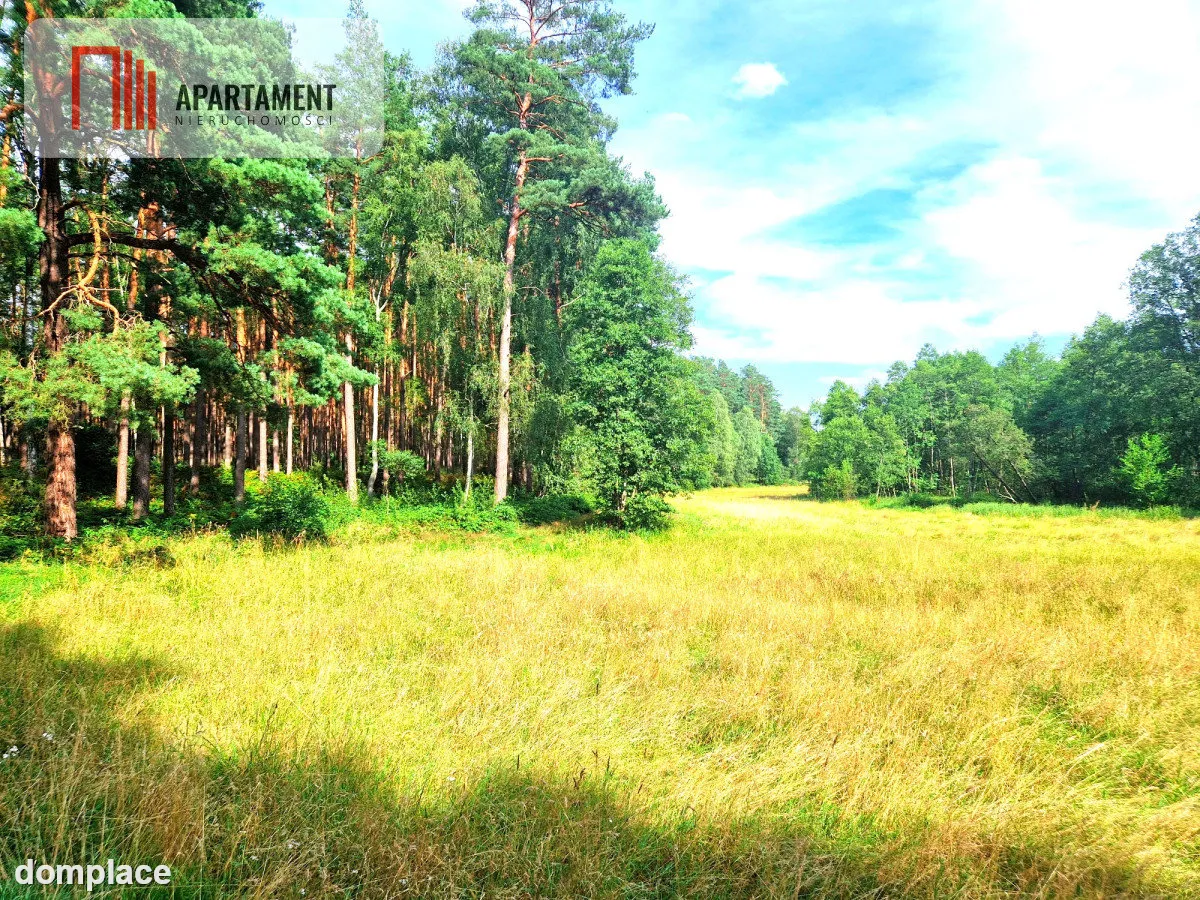 Działka z linią brzegową w Borach Tucholskich — zdjęcie 3