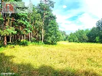 Działka z linią brzegową w Borach Tucholskich — zdjęcie 3