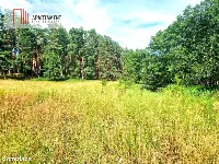 Działka z linią brzegową w Borach Tucholskich — zdjęcie 6