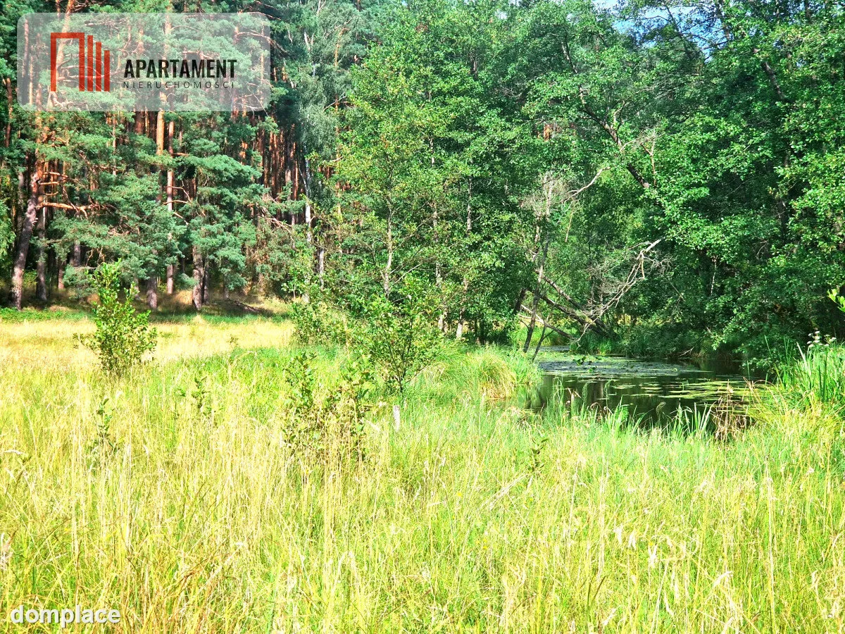 Działka z linią brzegową w Borach Tucholskich — zdjęcie 7