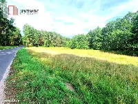 Działka z linią brzegową w Borach Tucholskich — zdjęcie 9