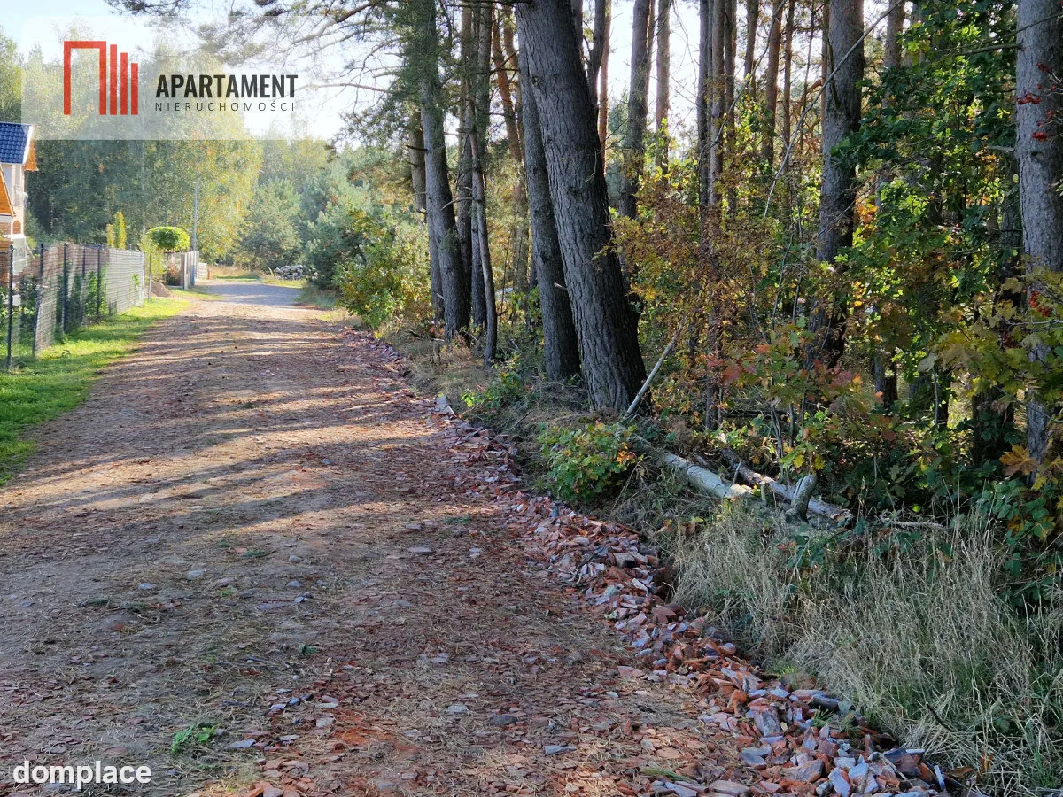 Działka budowlana z własnym lasem — zdjęcie 7
