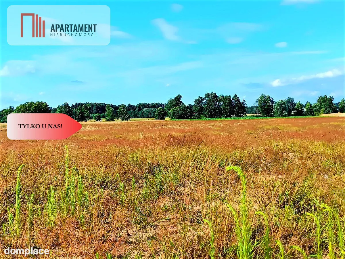 ZŁAWIEŚ MAŁA 1002m2 CISZA SPOKÓJ SUPER LOKALIZACJA — zdjęcie 10