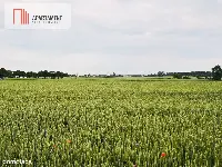 Działka w Brukach Unisławskich — zdjęcie 3