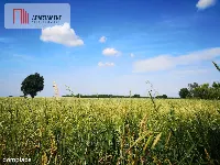 Działka w Brukach Unisławskich — zdjęcie 4