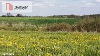 Działka w Brukach Unisławskich — zdjęcie 5