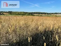 DZIAŁKI BUDOWLANE -ŚWIETNA LOKALIZACJA MARGONIN !! — zdjęcie 3