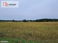 Atrakcyjne działki w Gąbinie — zdjęcie 3