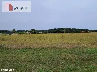 Atrakcyjne działki w Gąbinie — zdjęcie 4