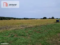 Atrakcyjne działki w Gąbinie — zdjęcie 6