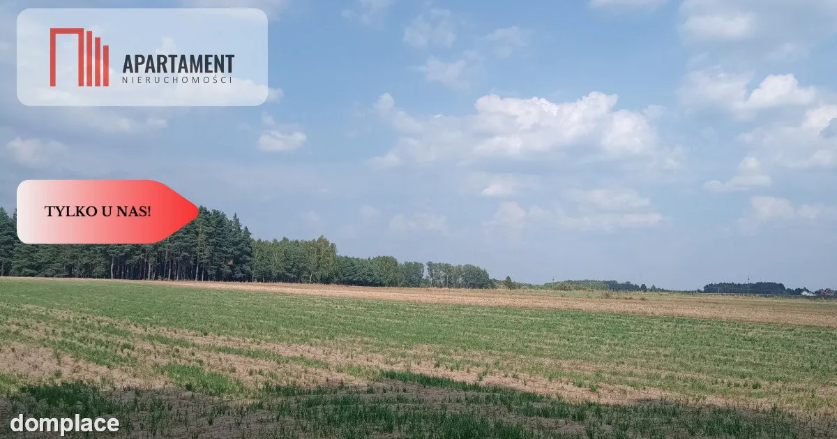 Działka Cekcyn obok lasu, jezior ,budowlana ! — zdjęcie 5