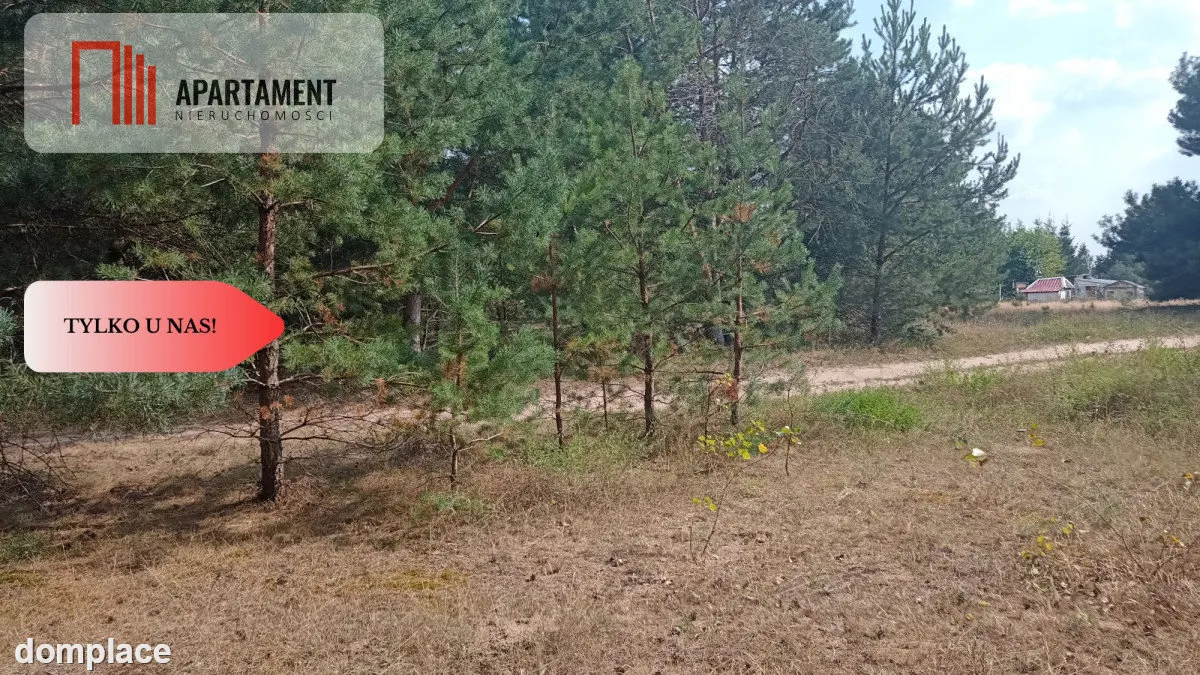 Działka Cekcyn obok lasu, jezior ,budowlana ! — zdjęcie 7