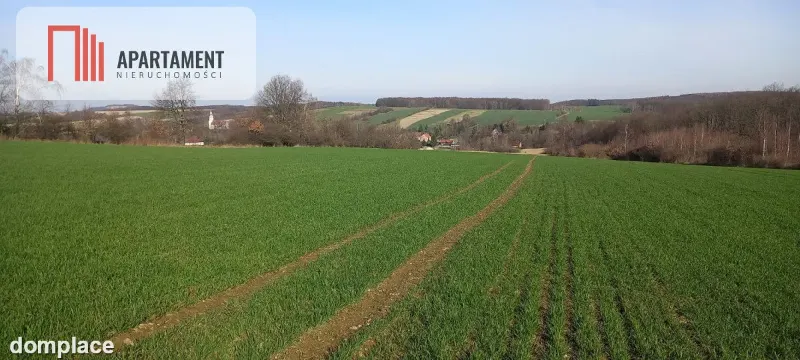 Działka pod inwestycję /Rolna/Cicha okolica