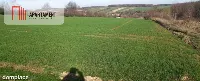 Działka pod inwestycję /Rolna/Cicha okolica — zdjęcie 2