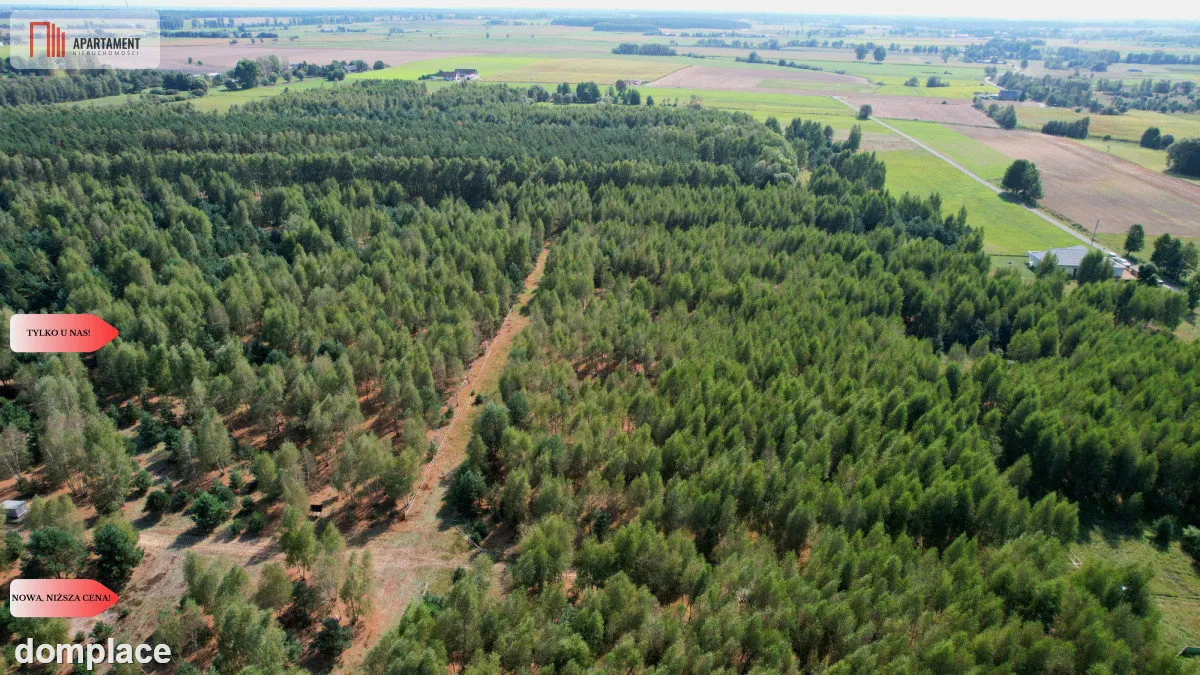 Nowa cena! Działki budowlane 15 minut od Gniezna — zdjęcie 15