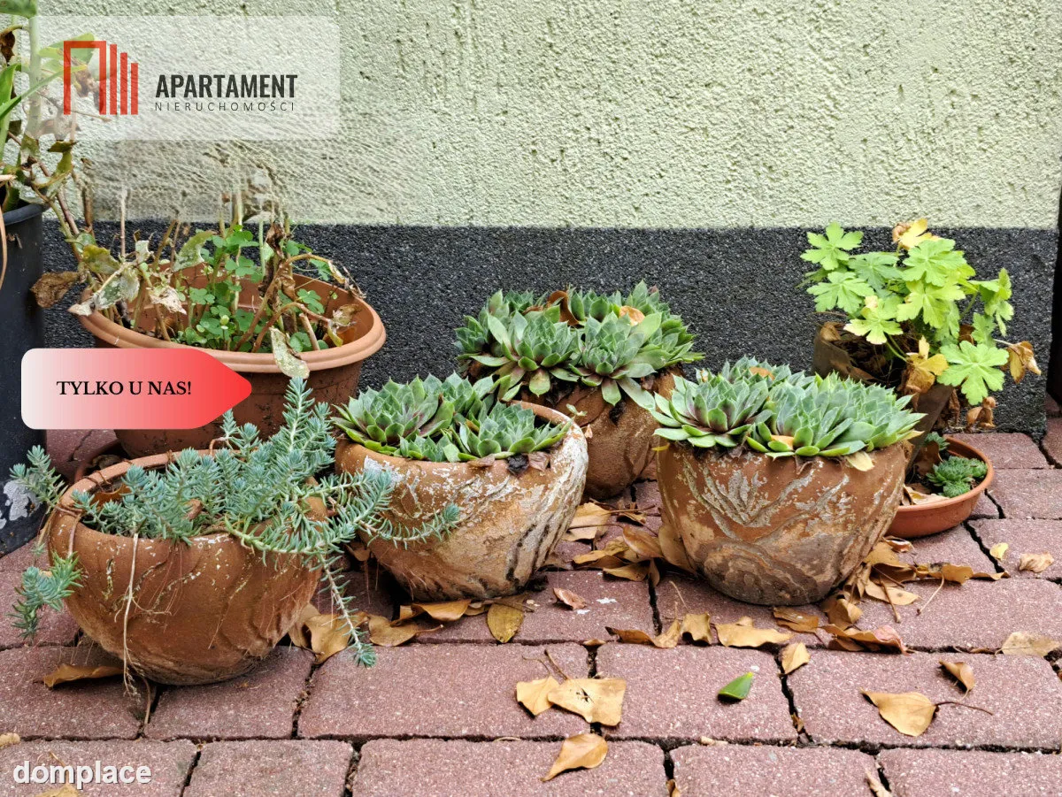 Piaski / dom z patio / 5 sypialni — zdjęcie 10