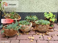 Piaski / dom z patio / 5 sypialni — zdjęcie 10