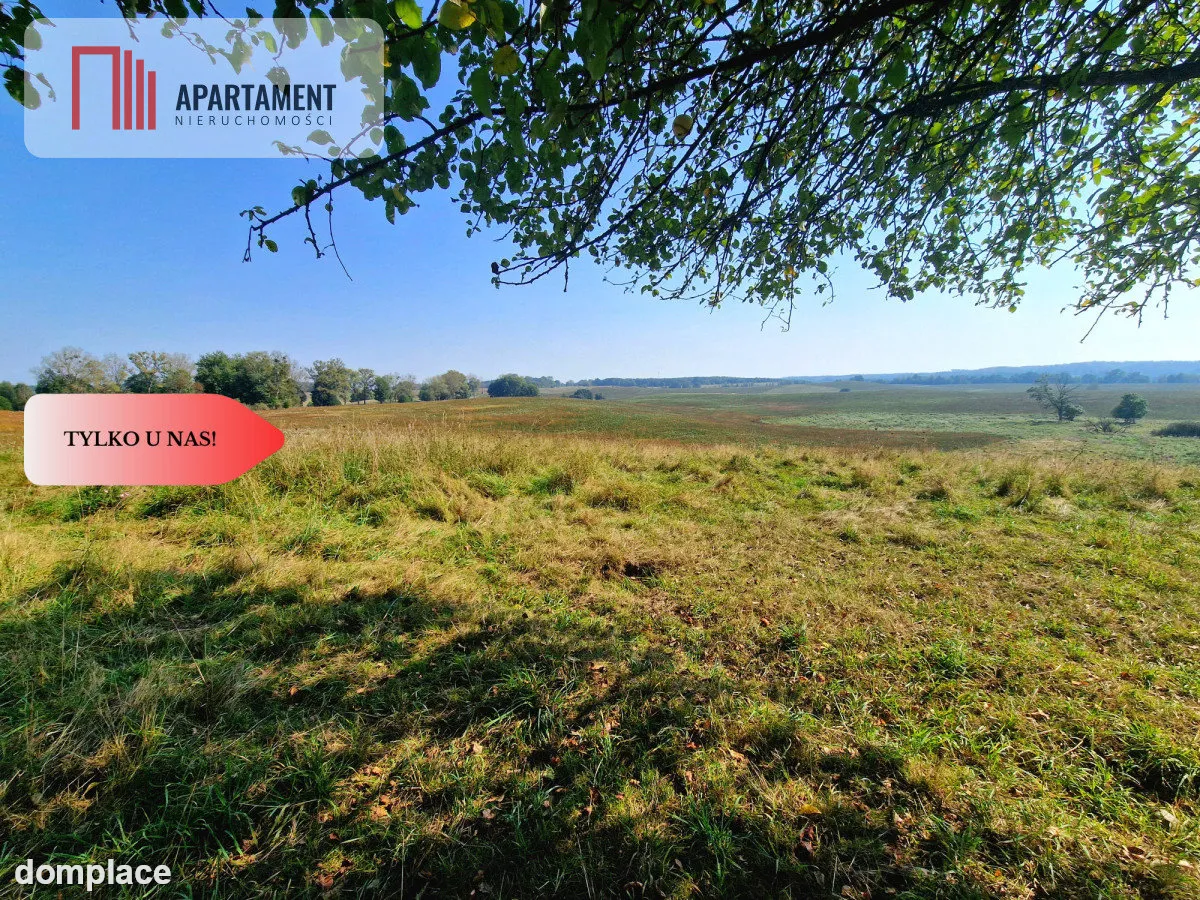 Tylko u Nas! 110 ha w jednym kawałku! Nowa cena! — zdjęcie 16