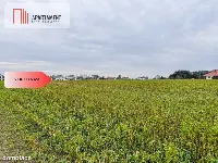 Tylko u nas! Działka 0,55 ha Łubianka k. jeziora — zdjęcie 6