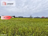 Tylko u nas! Działka 0,55 ha Łubianka k. jeziora — zdjęcie 7