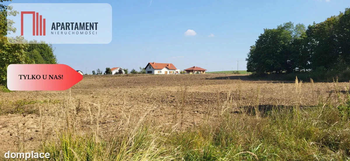 Działki z wz zostały trzy z siedmiu. — zdjęcie 2