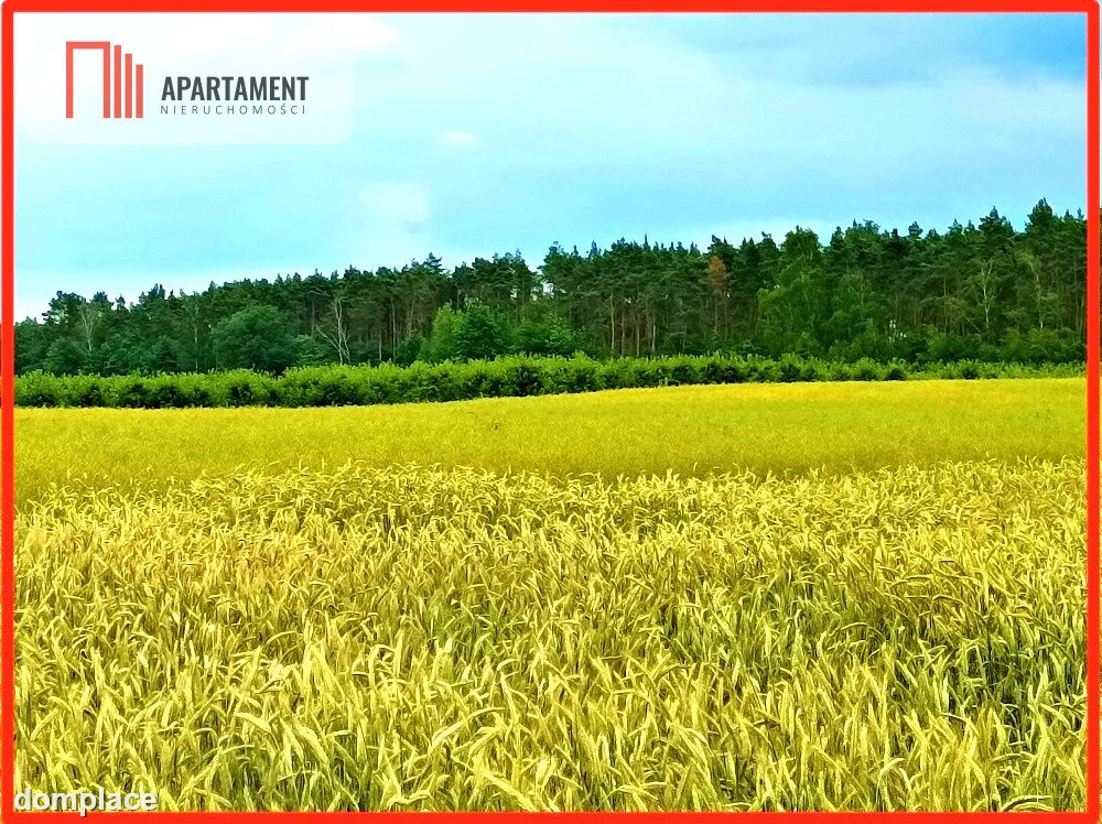 SZCZUTKI-MORZEWIEC 862m2 LAS CISZA SPOKÓJ