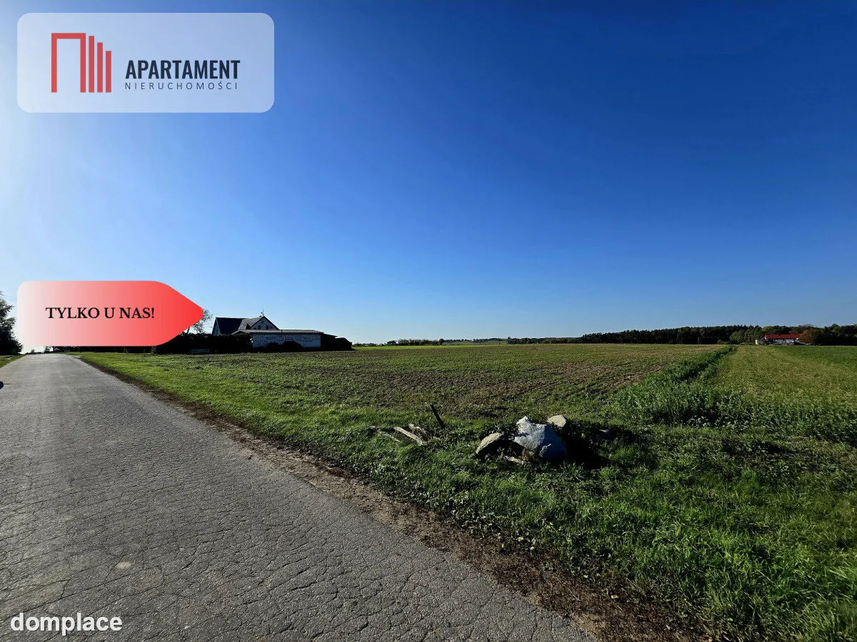 *Działka z warunkami zabudowy Dąbrówka Słupska — zdjęcie 6