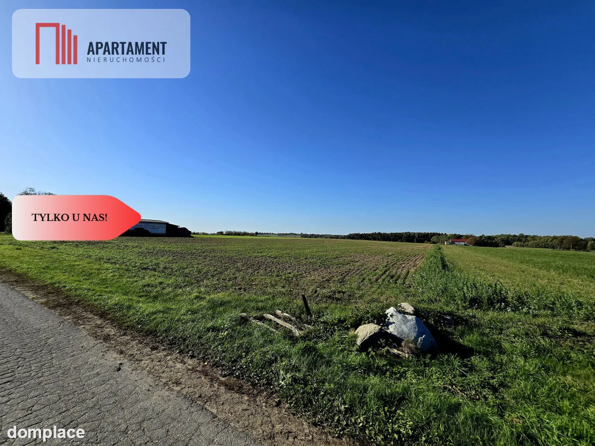*Działka z warunkami zabudowy Dąbrówka Słupska — zdjęcie 7