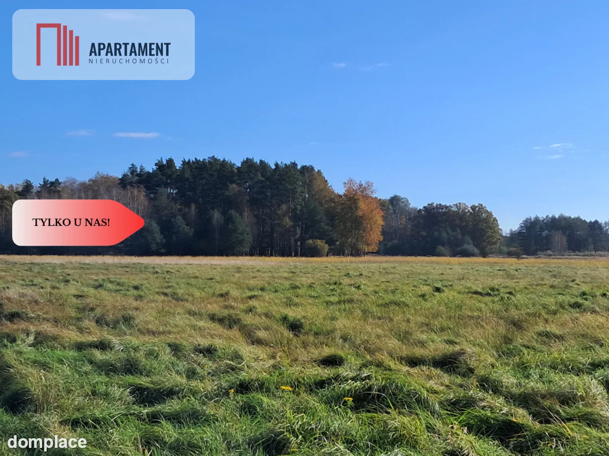 Dom na wsi do remontu z 5,5 ha ziemi. — zdjęcie 7