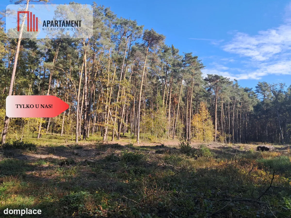 Dom na wsi do remontu z 5,5 ha ziemi. — zdjęcie 10