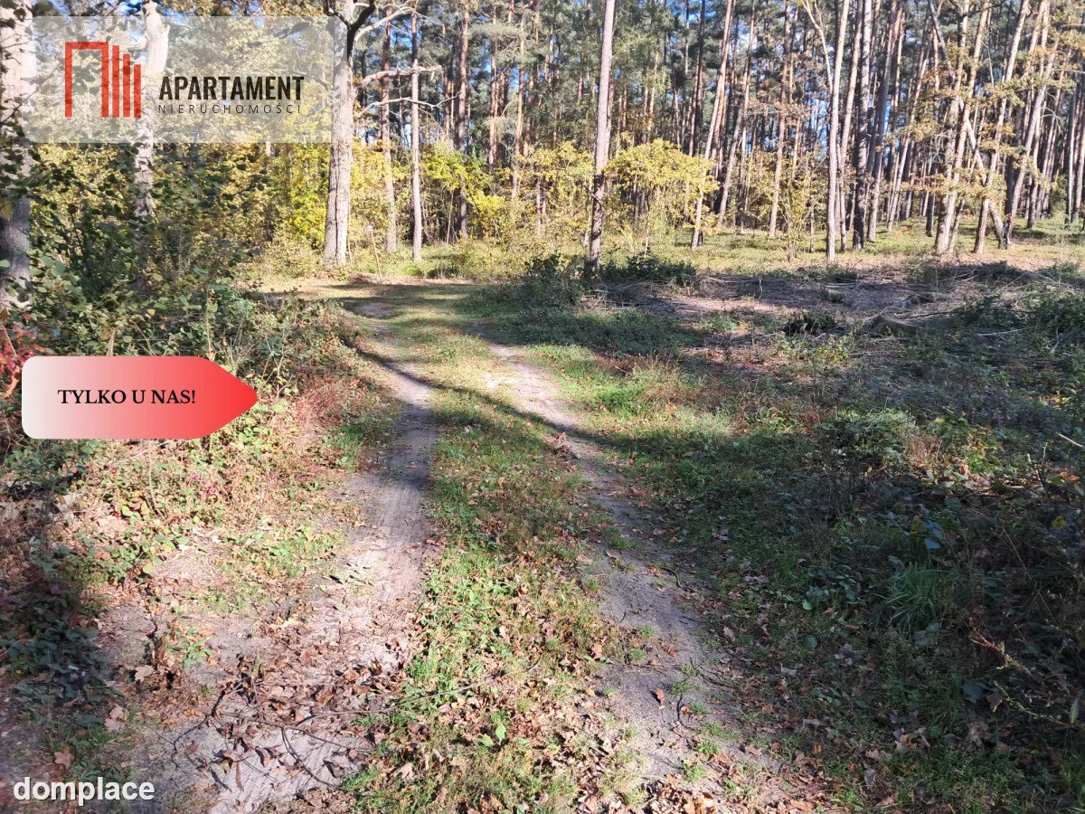 Dom na wsi do remontu z 5,5 ha ziemi. — zdjęcie 11
