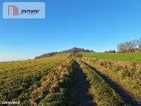 Działka rolna w cichej okolicy! — zdjęcie 7