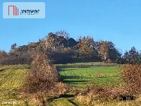 Działka rolna w cichej okolicy! — zdjęcie 8