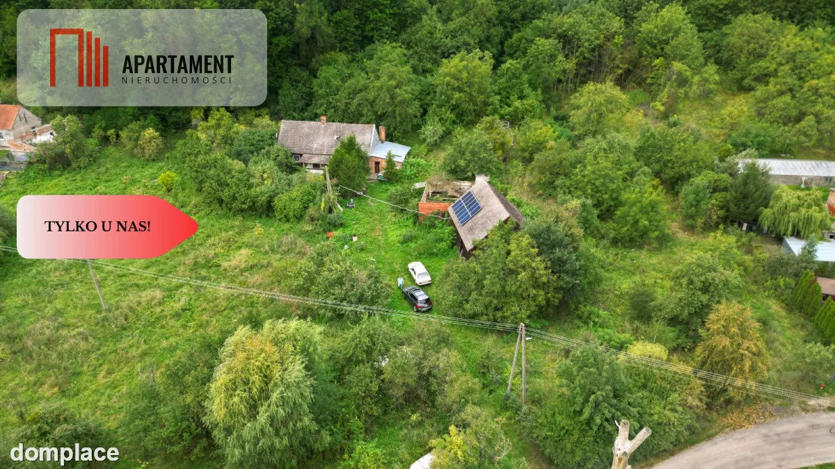 Siedlisko 1,2800 ha. Nowa cena — zdjęcie 3