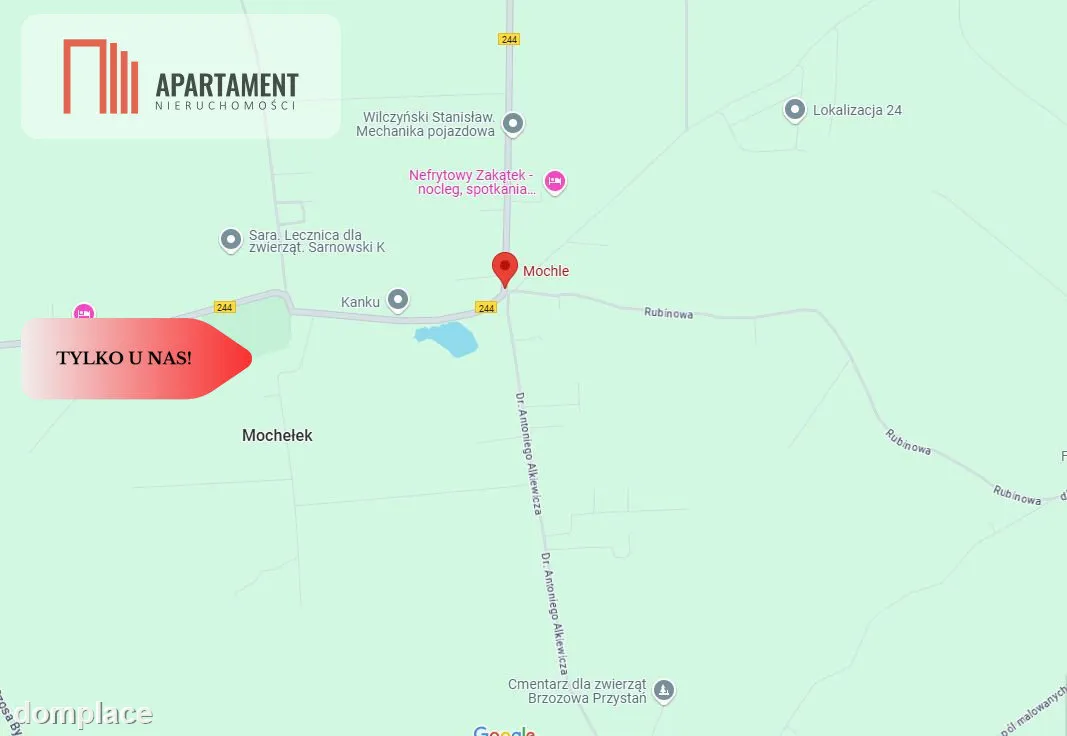 Mochle 1000m2 działka z WZ media — zdjęcie 5