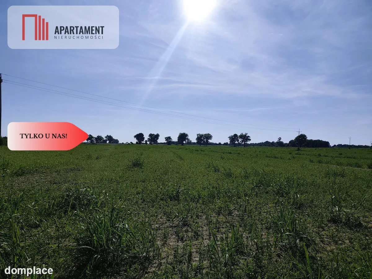 Działka 3000 mkw z WZ – spokojna okolica — zdjęcie 4