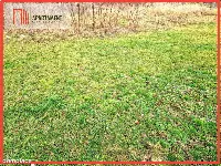 Działka inwestycyjna w świetnej lokalizacji — zdjęcie 2