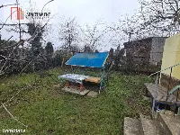 Działka ROD z wejściem z Ul. Targowej*Tczew* — zdjęcie 6