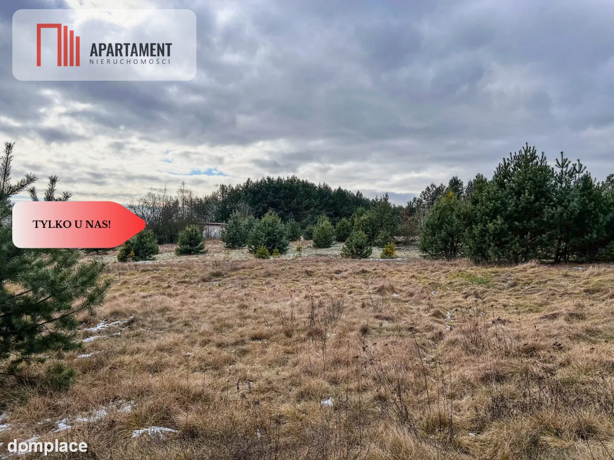 Tylko u nas! Działka 3229m² Krąplewice przy lesie — zdjęcie 9