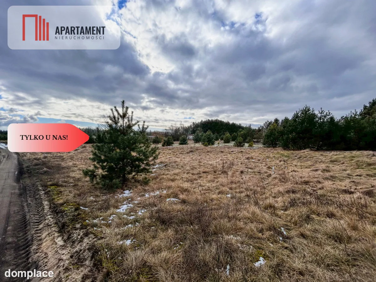 Tylko u nas! Działka 3229m² Krąplewice przy lesie — zdjęcie 5