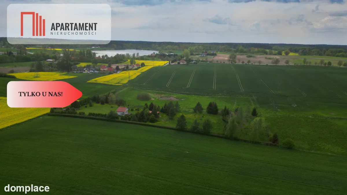 działka z warunkami zabudowy 1,4 ha — zdjęcie 5
