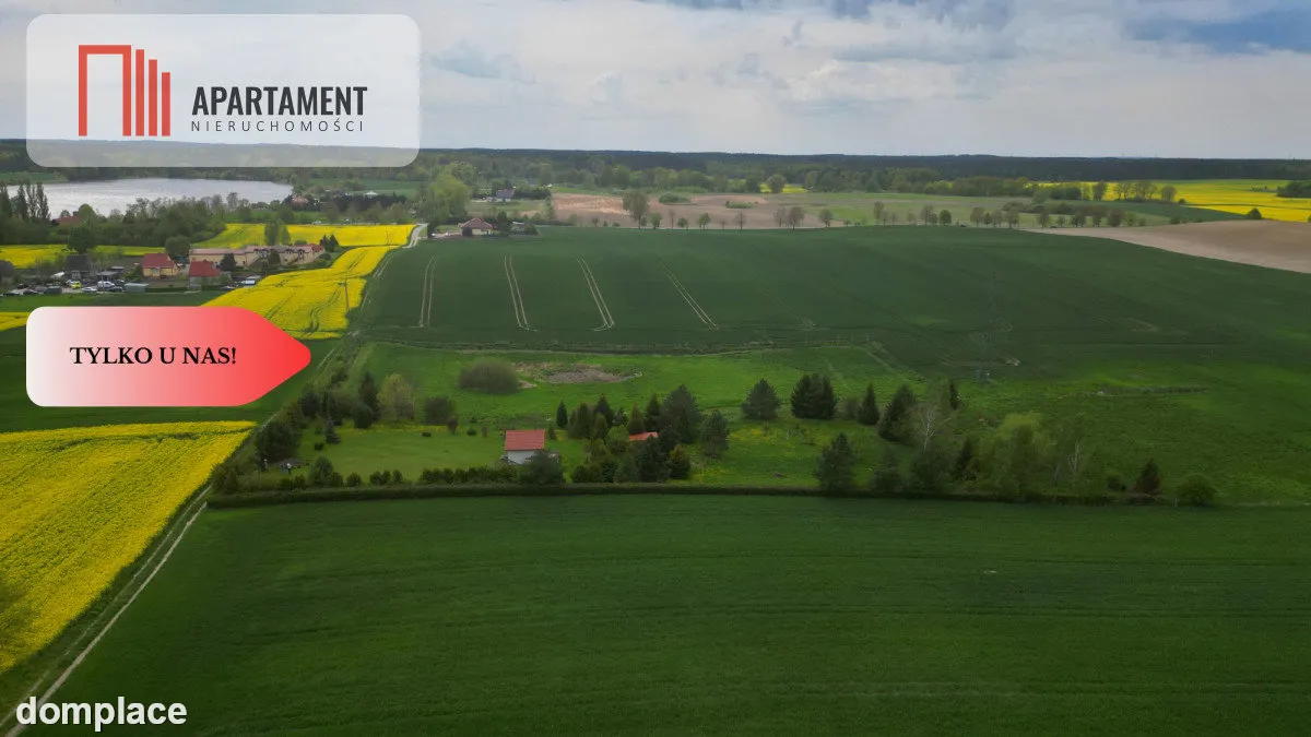 działka z warunkami zabudowy 1,4 ha — zdjęcie 6