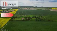 działka z warunkami zabudowy 1,4 ha — zdjęcie 6