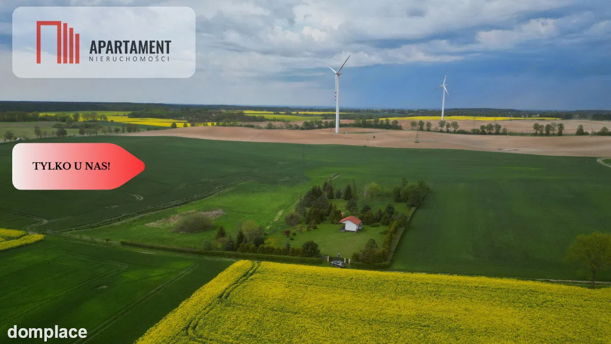 działka z warunkami zabudowy 1,4 ha — zdjęcie 7
