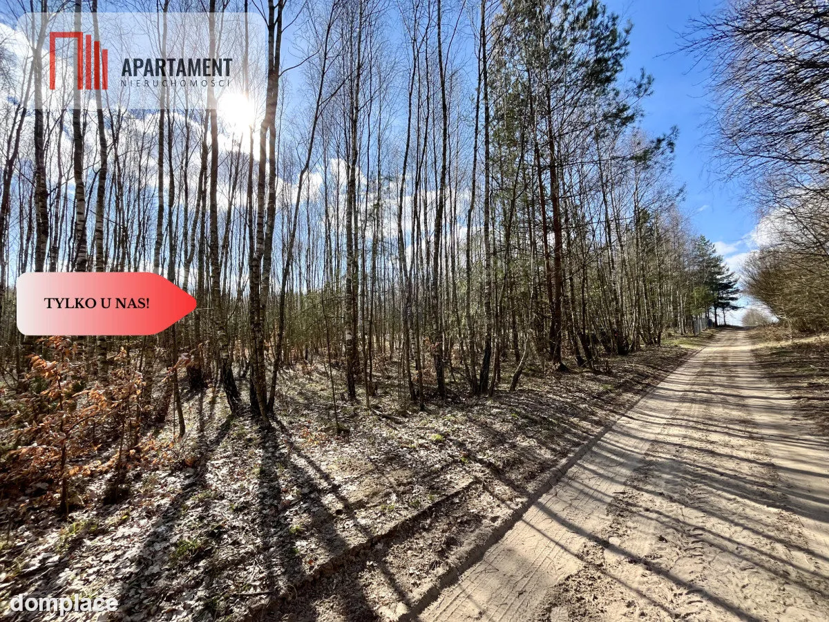 dwie działki po 1522m2 NAD JEZIOREM — zdjęcie 10